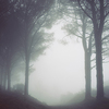 hzn_fall_2018_chris-barbalis-272065-unsplash_-a Feed your spirit