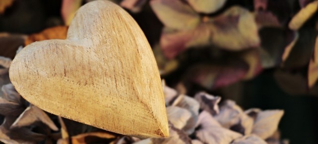 fall-heart_membership-renewal NRVC Membership: The kindling to keep vocation ministry hearts burning